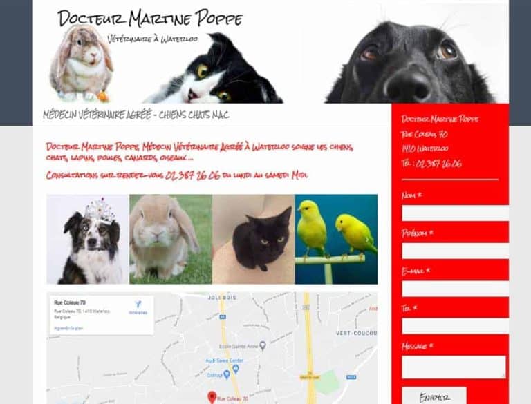 Vétérinaire pour chiens, chats, lapins, oiseaux, reptiles et autres animaux.