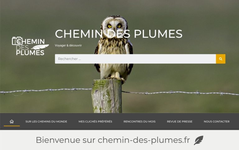 Oiseau de nuit, probablement une chouette, sur un poteau en pleine nature.