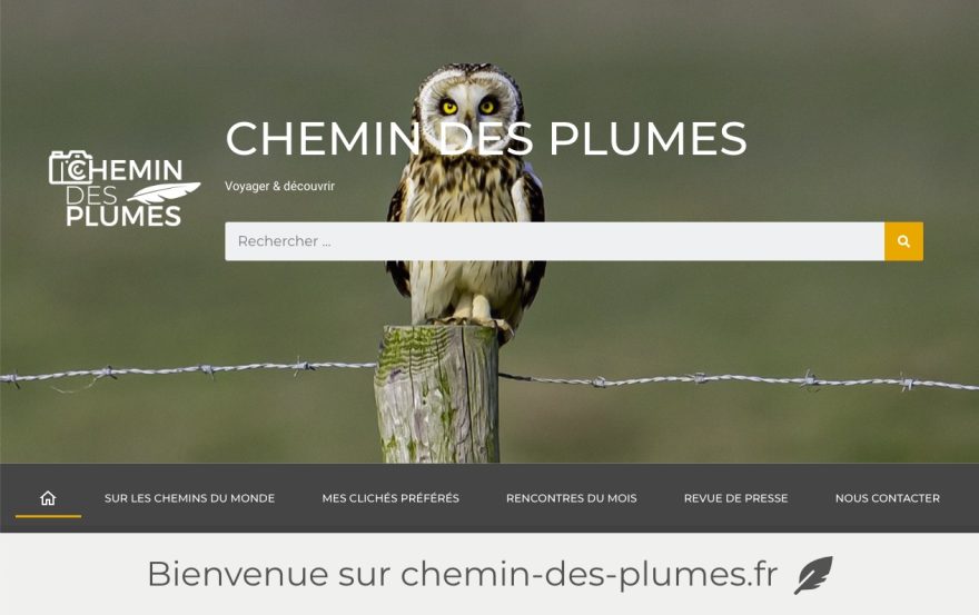 Oiseau de nuit, probablement une chouette, sur un poteau en pleine nature.