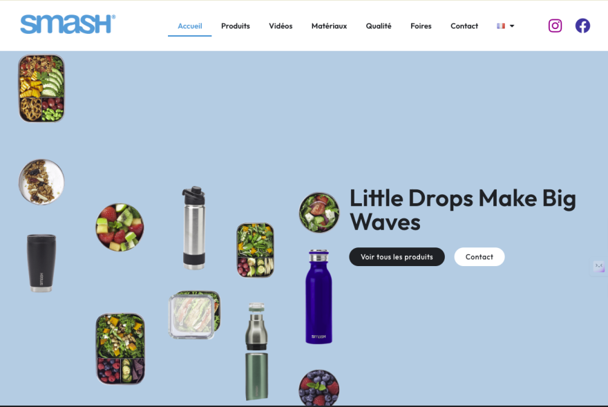 Divers contenants et fleurs pour smoothies, boissons naturelles et santé.