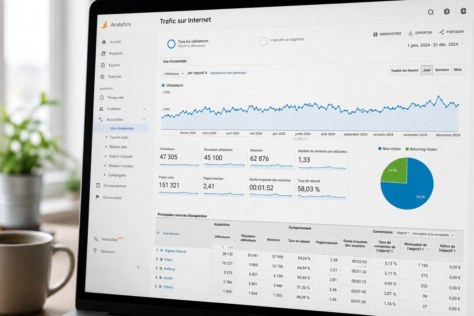 Capture d'écran d'un tableau de statistiques de trafic web en 2024.